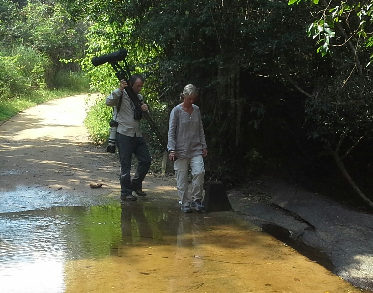 Birdwatching tour group